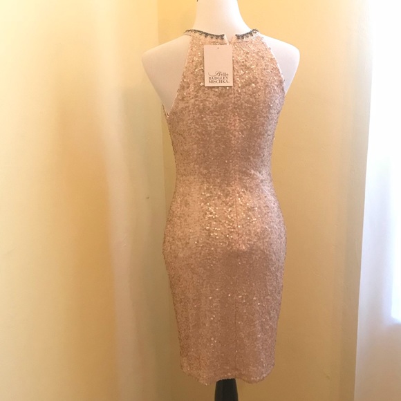NWT Blush sequin dress by Belle Badgley Mischka - Picture 3 of 7
